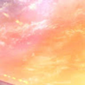 Meet your Posher, Pearllyen